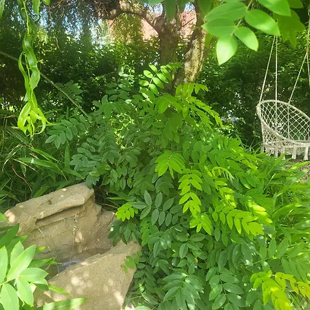 Gasthuis Restovna 3*